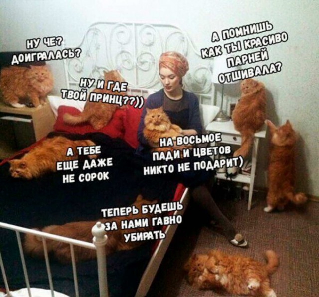 Чёрный, очень чёрный понедельник...
