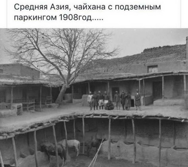 Занимательная антропология
