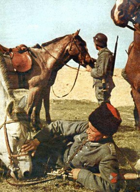 За что так не любят казаков?