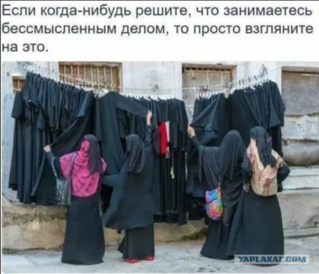 Дочь Кадырова открыла ресторан на месте библиотеки