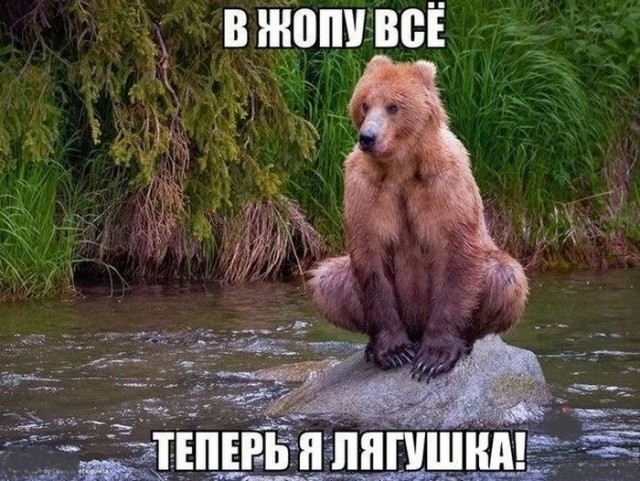 Даёшь картинкой по среде (26.02.2020)