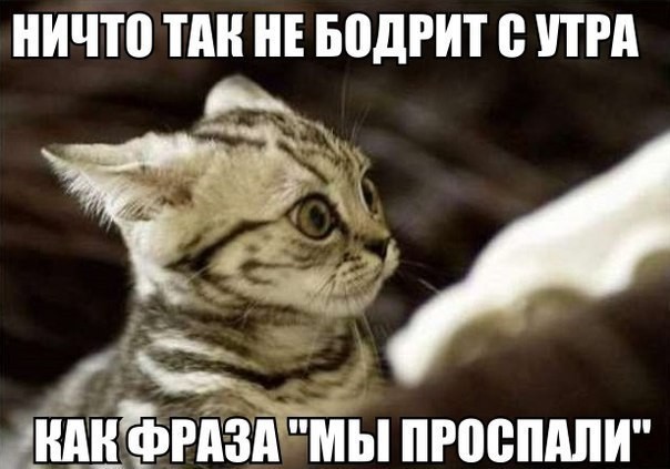 Чуток картинок 09.04.20