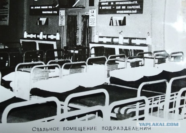 1985 – за год до трагедии