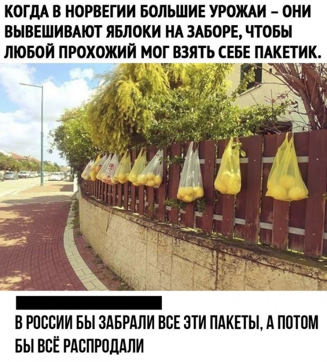 Позитивные картинки на 28.06.2020