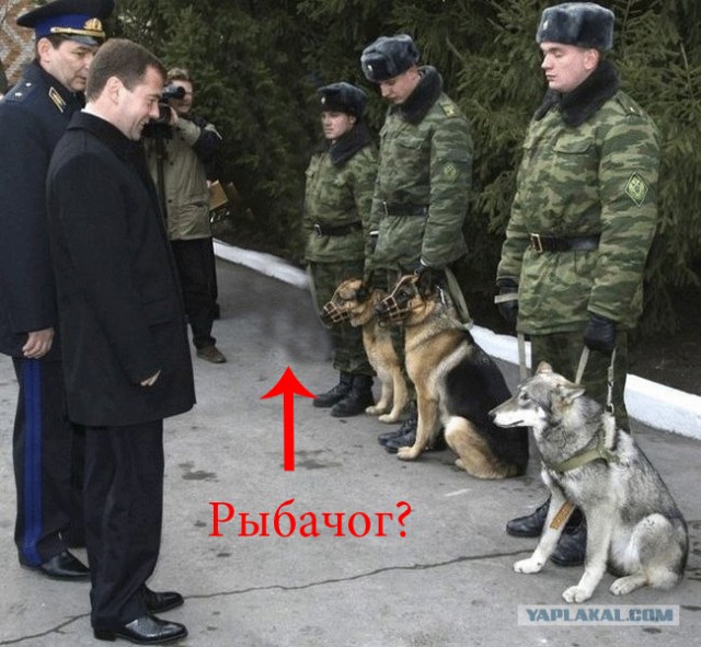 Россия и Аргентина