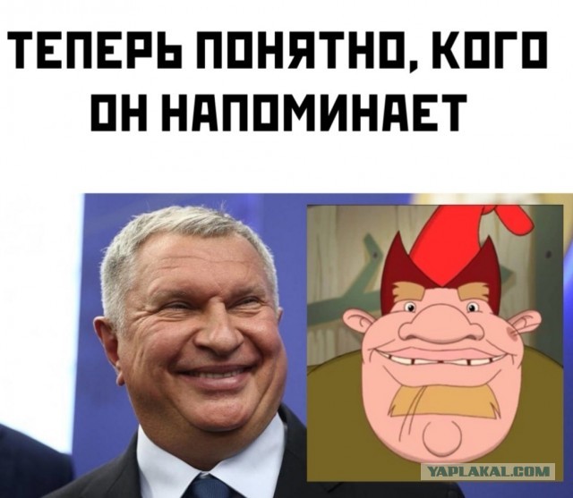 Картинки из рабочего чата 24.10
