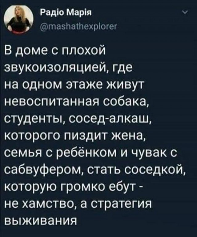 Картинки с надписями, фразы и анекдоты