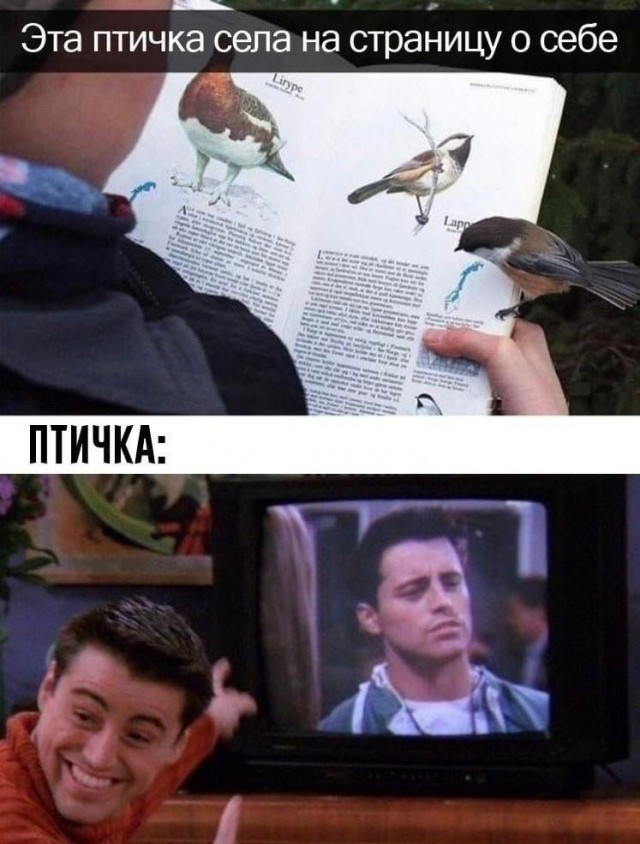 Это катастрофа
