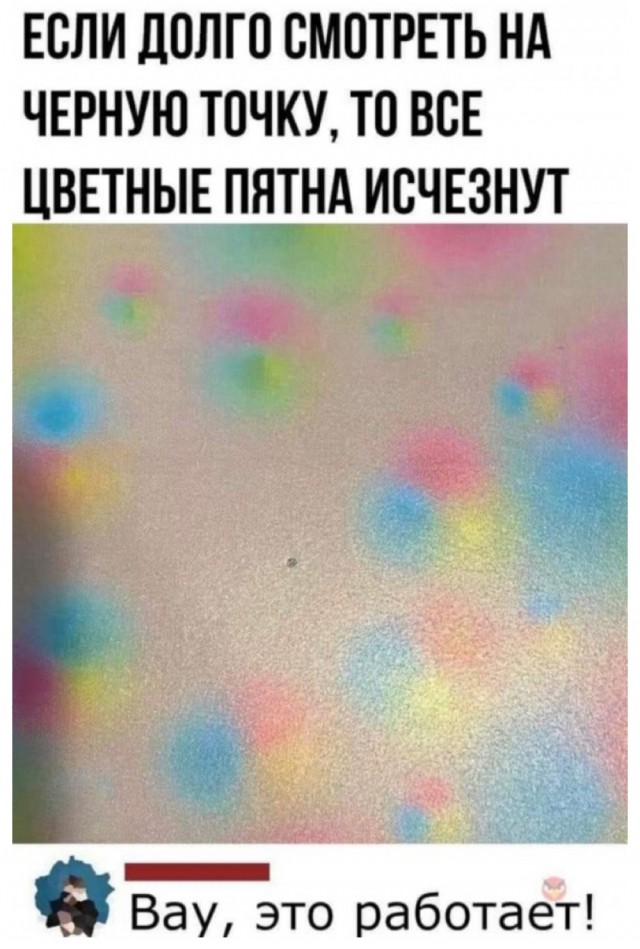 Бредзона 09.02.21