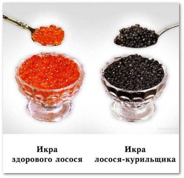 Аморальная деградация