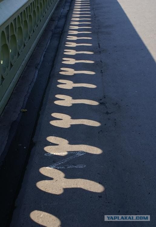 Тень... просто тень