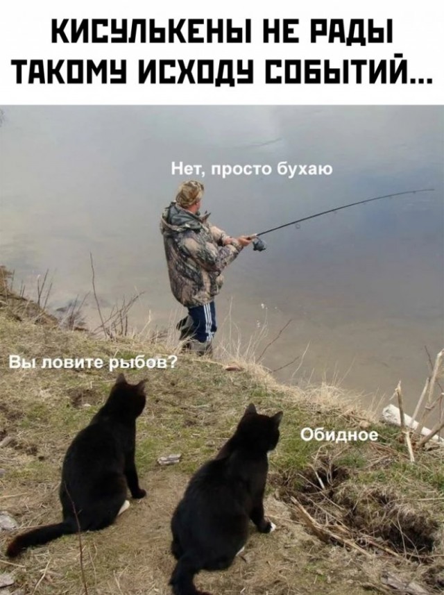 Картинки и мемы для настроения 09.08.2021