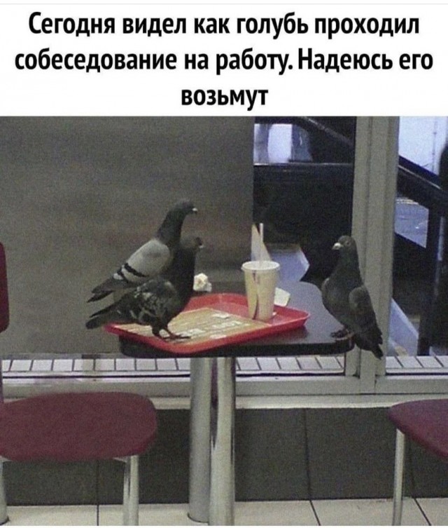 Картинки и мемы для настроения