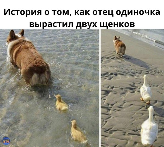 Так себе картинки 19.09.21