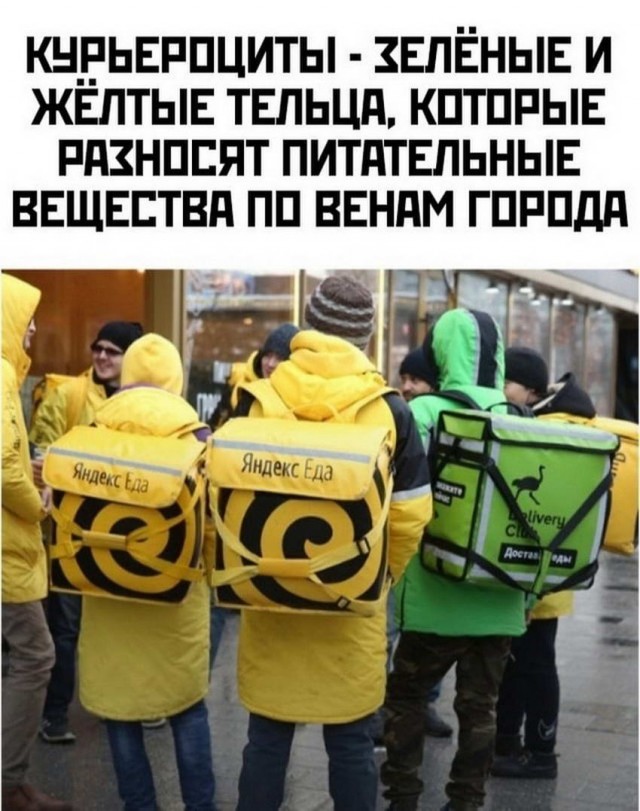 Картинки и мемы 08.10.2021