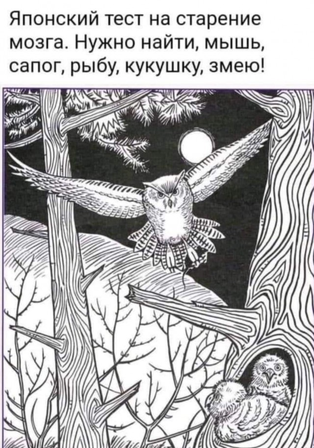 Бредзона 10.10.2021