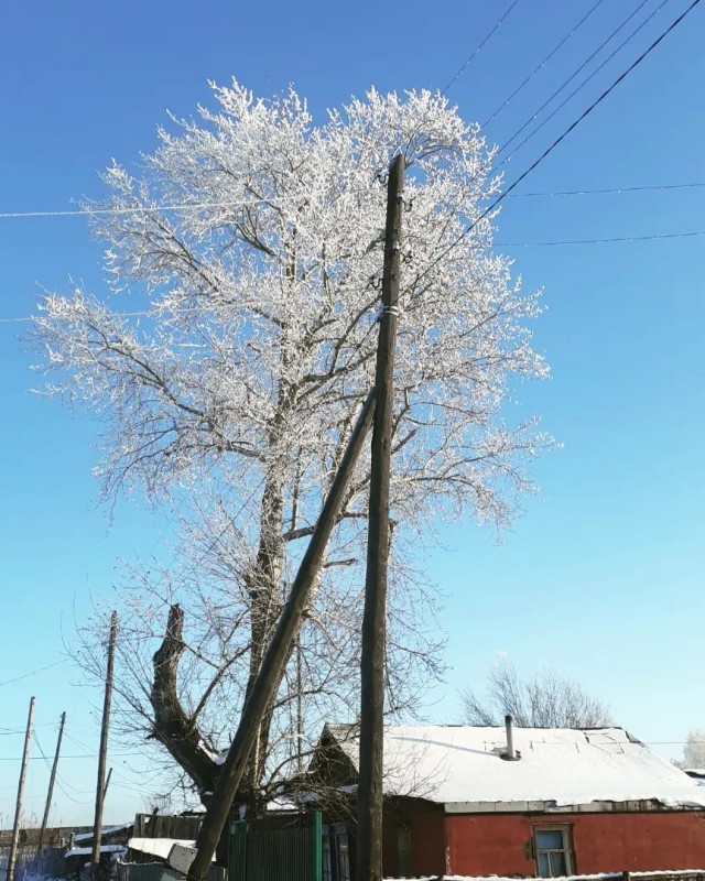 Фото с телефона