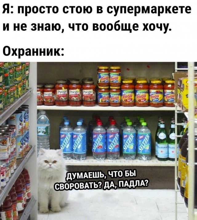 Так себе картинки 24.03.22