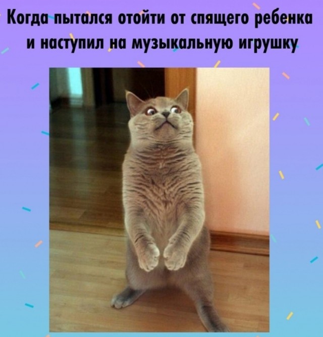 Бэушный джипег