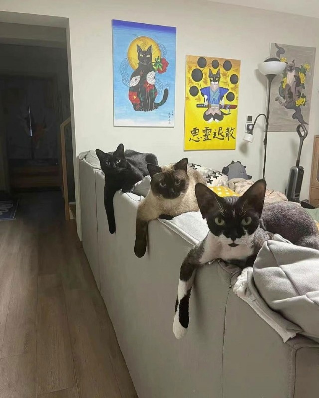 18 фото, которые вызовут у вас тревожность