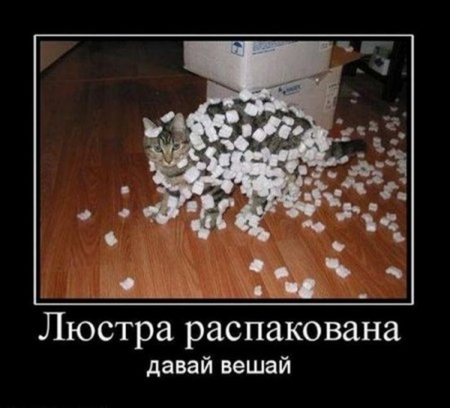 Рубрика "Баян-прибоян". Часть 2. Демотиваторы