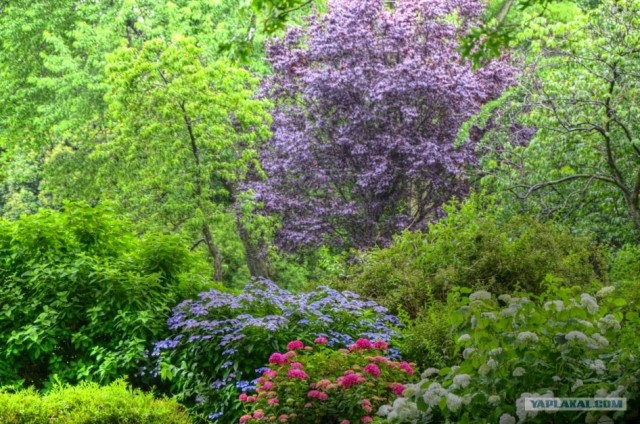 Путешествие по Северной Америке