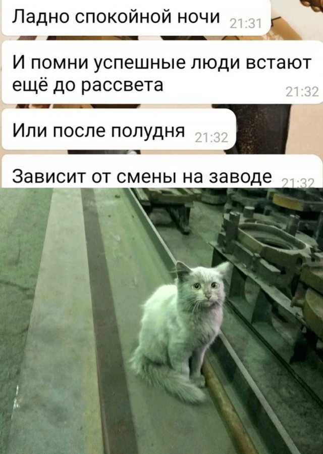 Картинки. Сборник без темы
