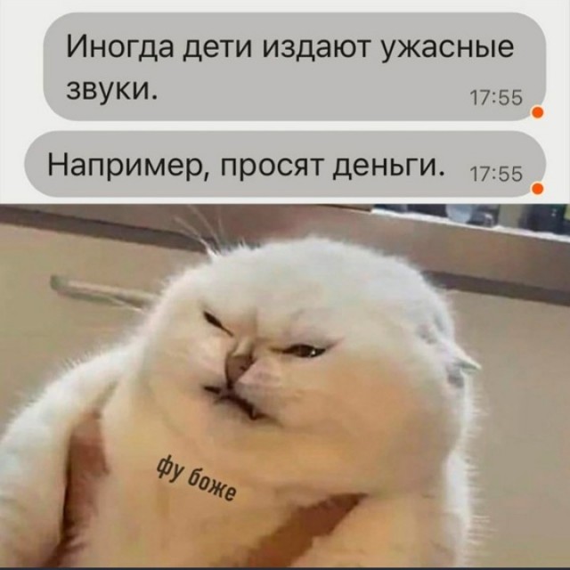 Баянисто-небаянистый юмор 29.08.22