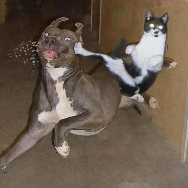 С вертухи