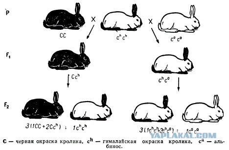 Цитаты Станислава Дробышевского