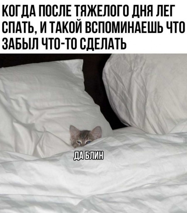 Картинки аморальные и всякие разные - 46