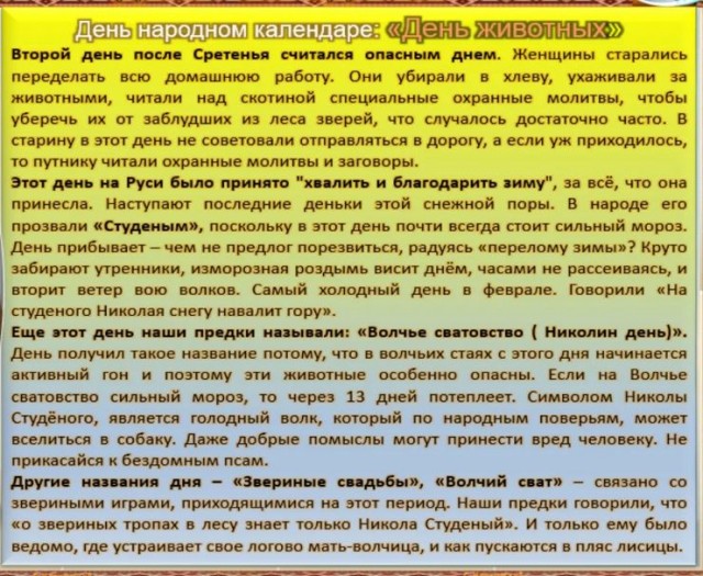 Победная поступь идиотизма по планете – том 8
