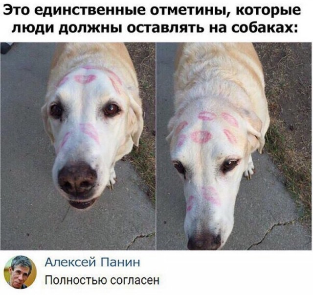 Картинки про всякое