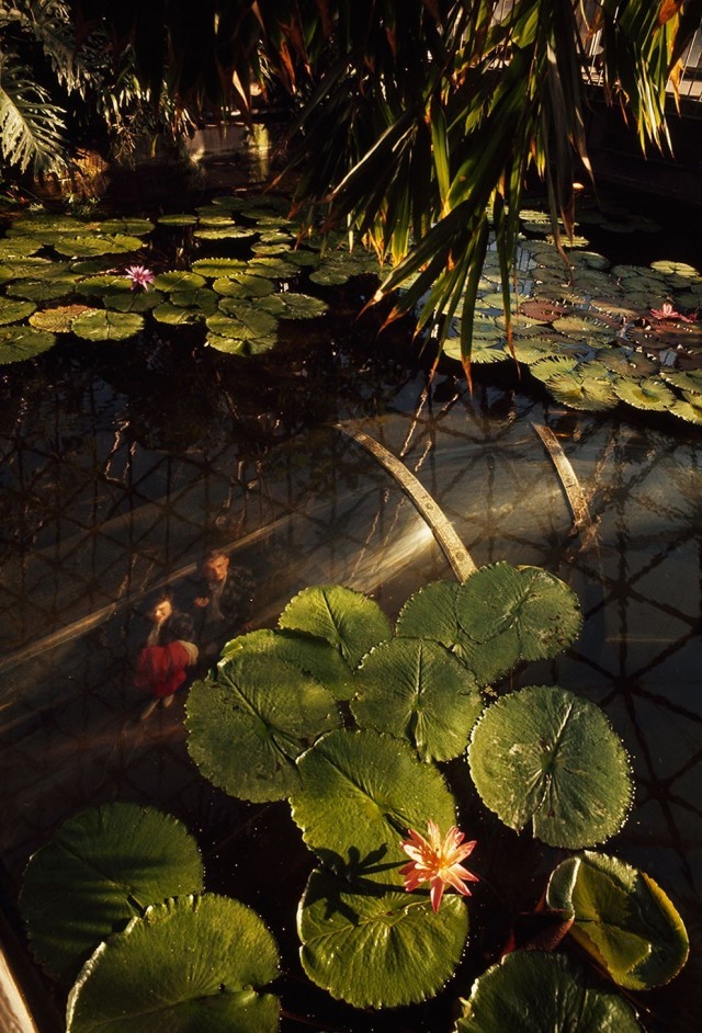 Фотоархив National Geographic: восторг и трепет в фотографиях со всего мира