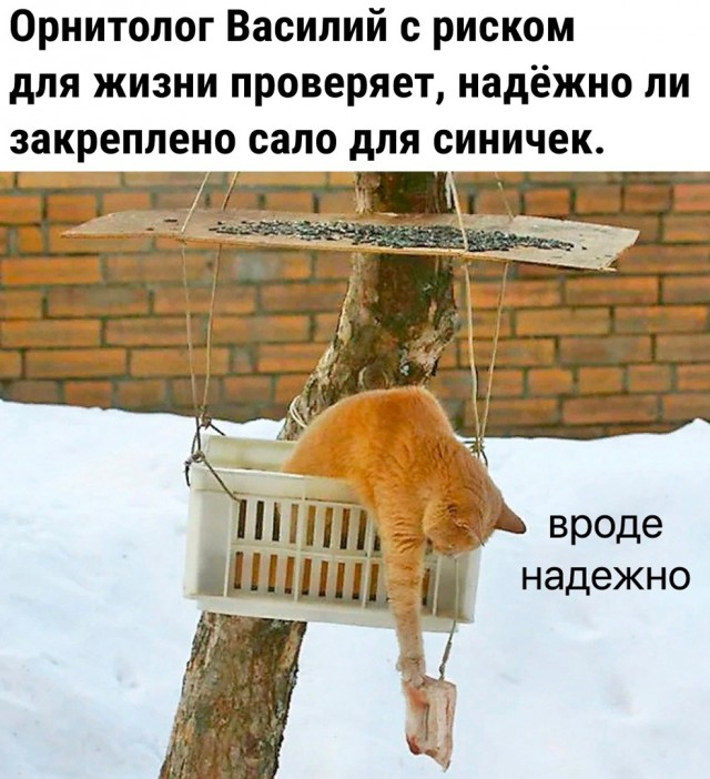 Так себе картинки 02.09.23