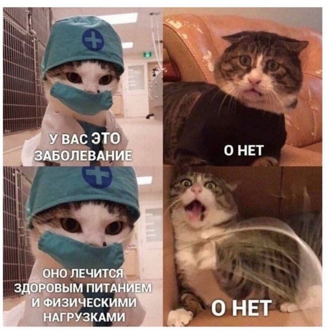 Старость — это иллюзия?