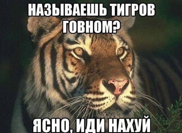 Всего понемногу. От 20.12