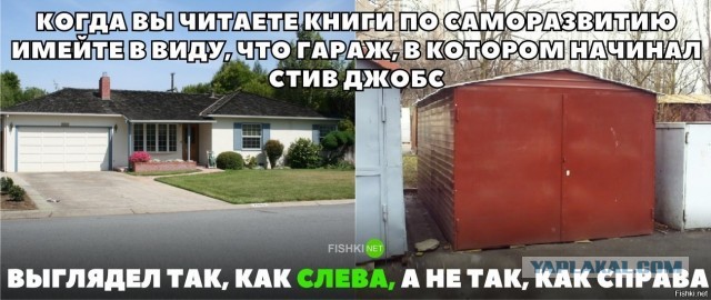 Под Питером 14-летний пацан вырастил 35 тысяч тюльпанов в гараже своего бати и продал их 14 февраля за 2 миллиона рублей