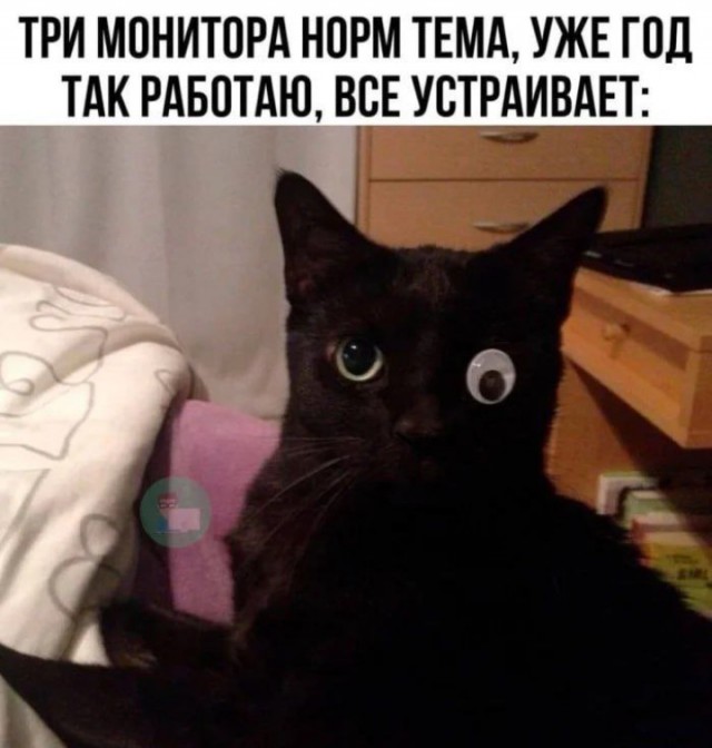 Всего понемногу. От 23.02.24