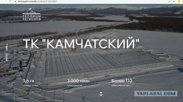 12 марта в Пахачах оттепель с влажным восточным ветром