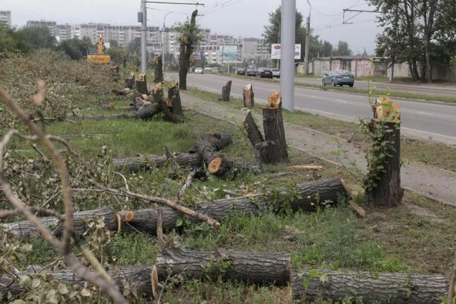 Несостоявшееся родовое поместье экс-замминистра обороны Тимура Иванова за почти 2 млрд — новая Зона 51