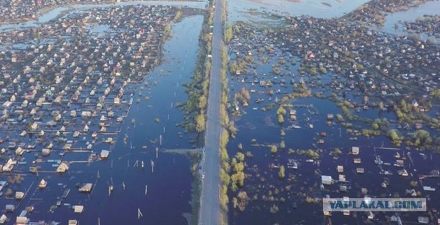 Где только не живут