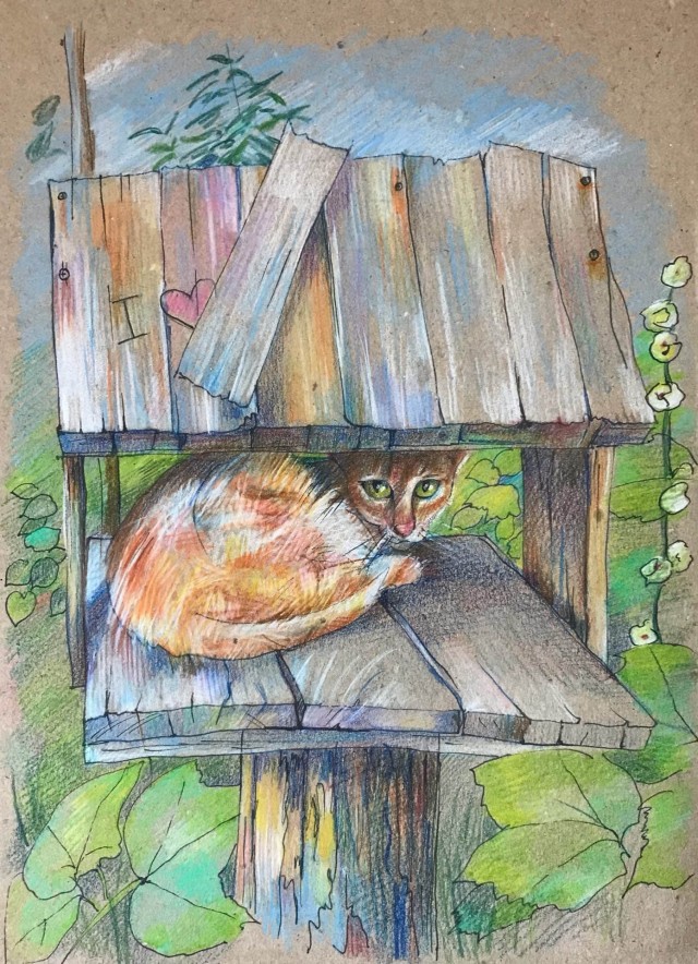 Картинки животных. Продолжение