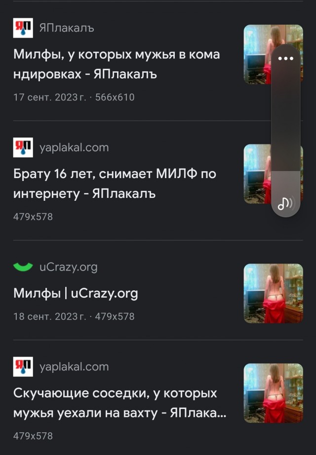 Брату 16 лет, снимает МИЛФ по интернету