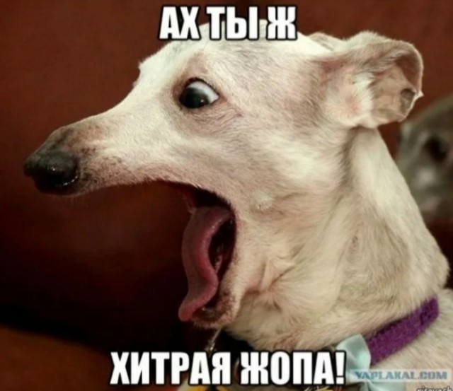 Женщина почистила бананы прямо в магазине, чтобы не платить за кожуру
