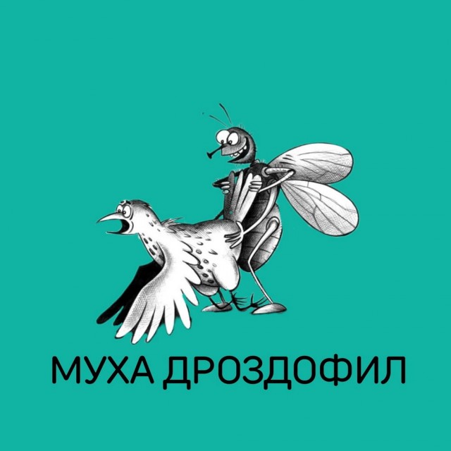 Нуштош 11.10.2024