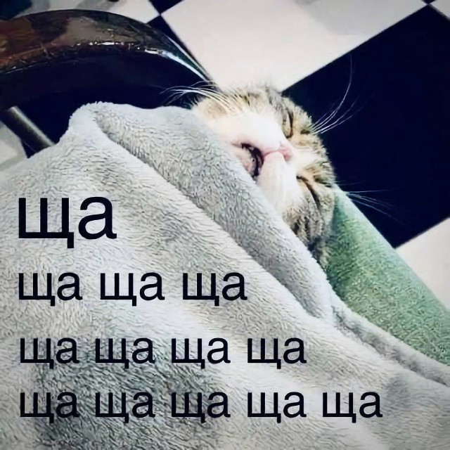 Нуштош 25.10.2024