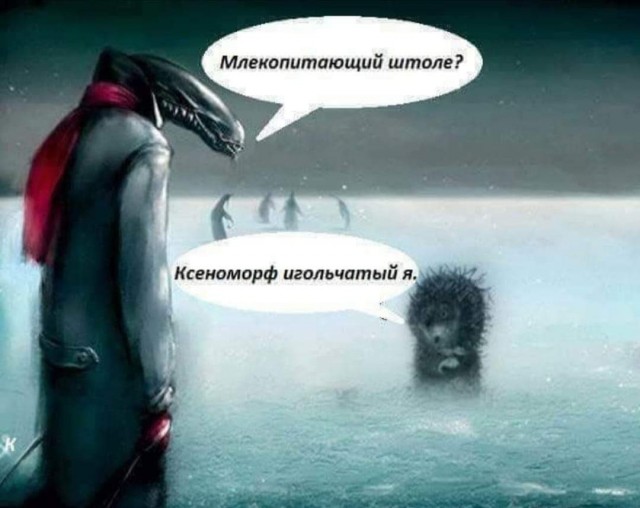 Так себе картинки 30.10.24