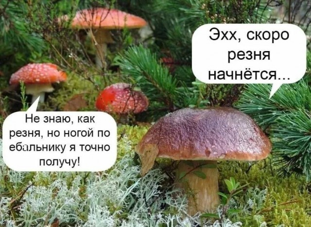 Прикольные и просто красивые картинки 22.11.2024