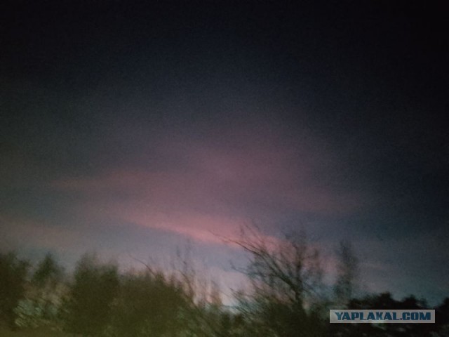 Жизнь домашнего приюта для котеек 524